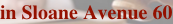 shapeimage_8_link_3