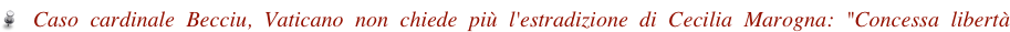 shapeimage_6_link_40